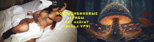 сатива Мегион