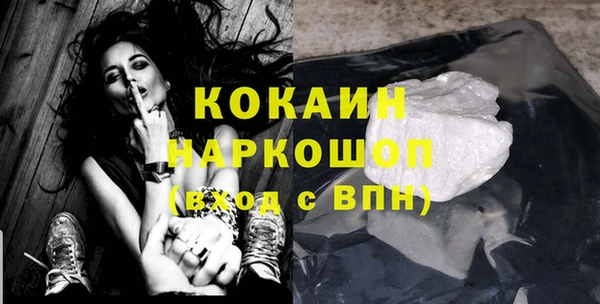 сатива Мегион