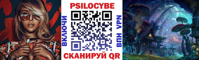Купить  Рязань  Псилоцибиновые грибы Magic Shrooms 